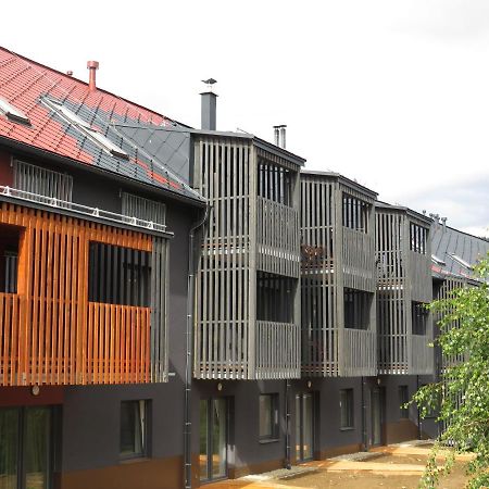 Apartman Honey Dolní Morava エクステリア 写真