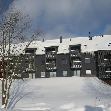 Apartman Honey Dolní Morava エクステリア 写真