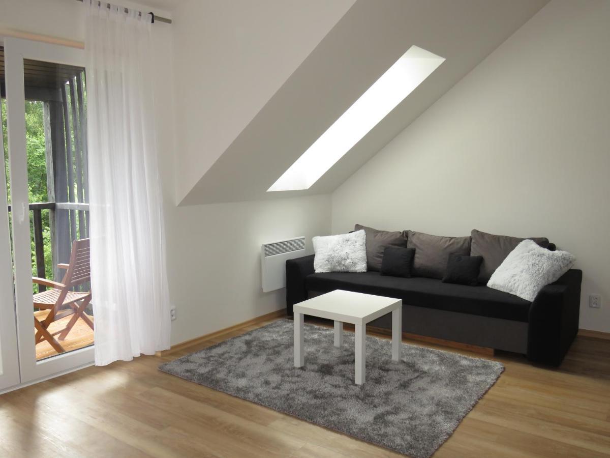 Apartman Honey Dolní Morava エクステリア 写真