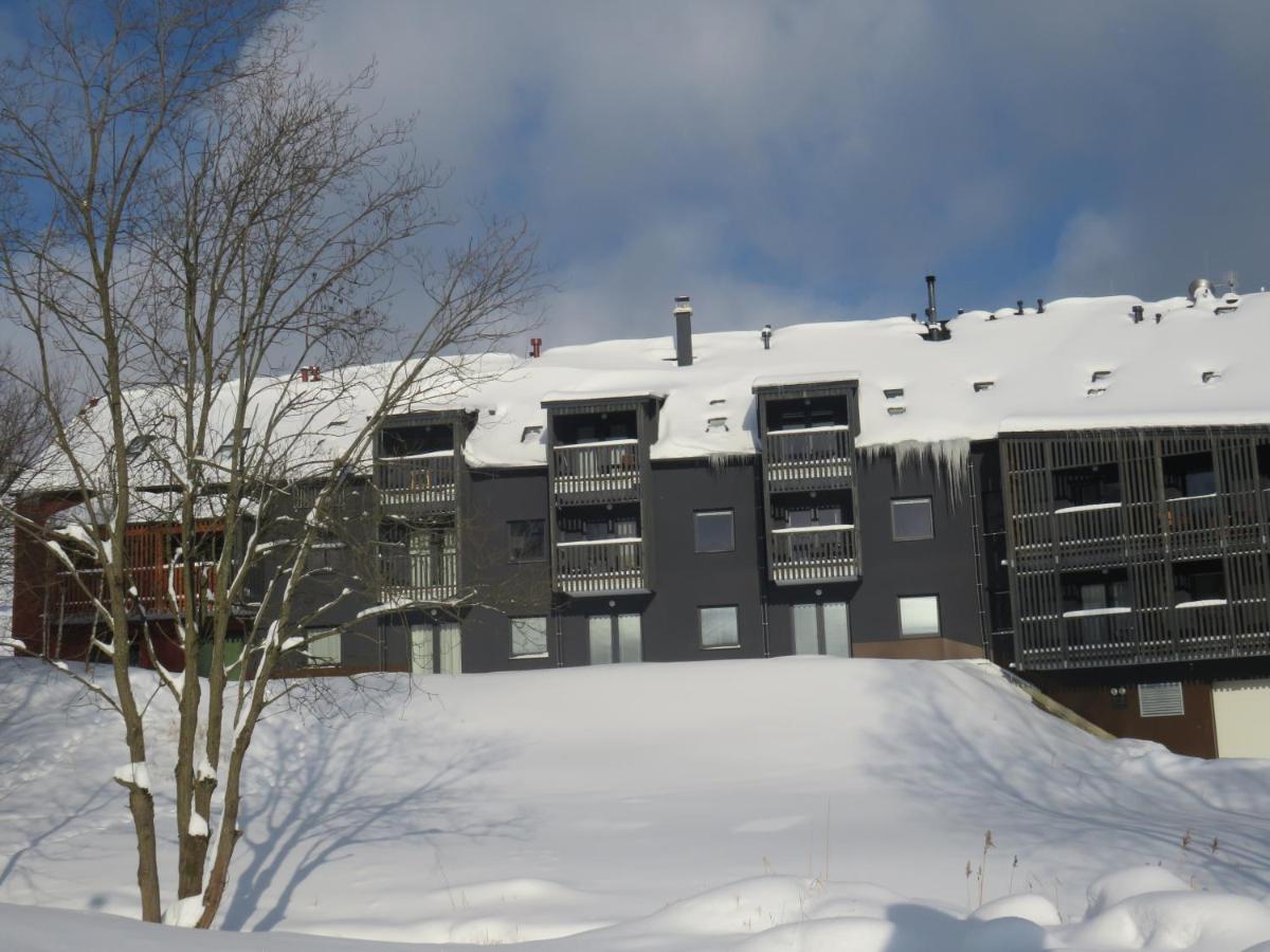 Apartman Honey Dolní Morava エクステリア 写真